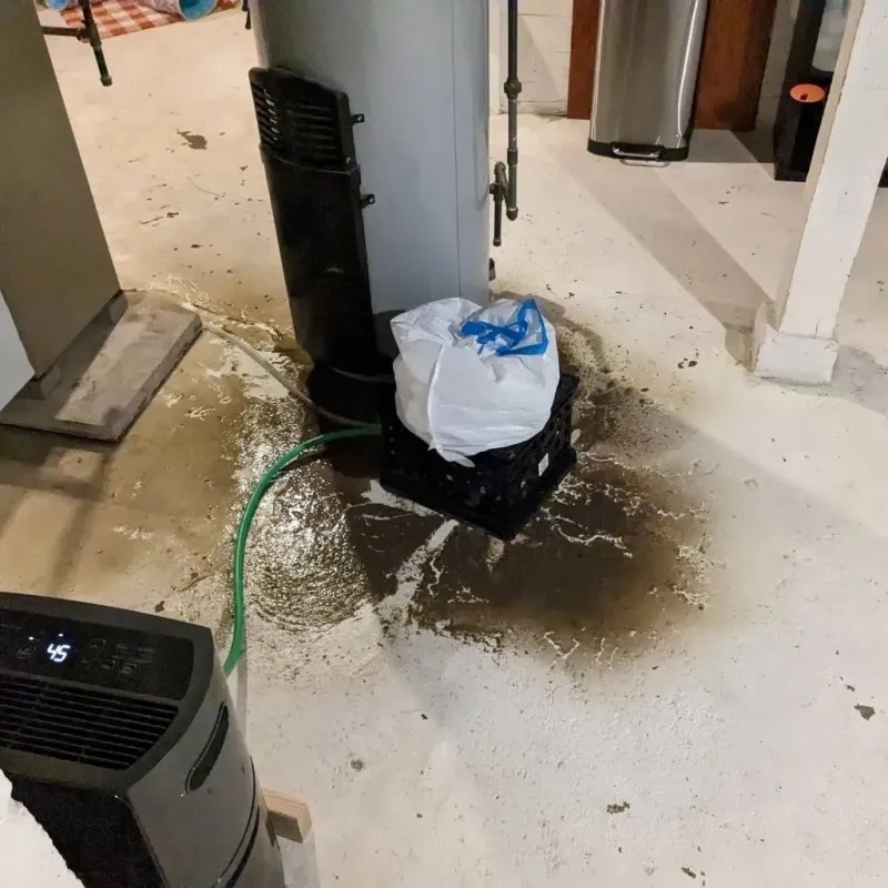 Sewage Backup Cleanup Service in Los Olivos, CA